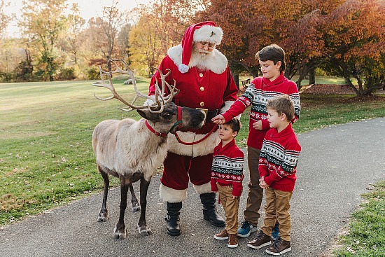Deer Santa, Sessions