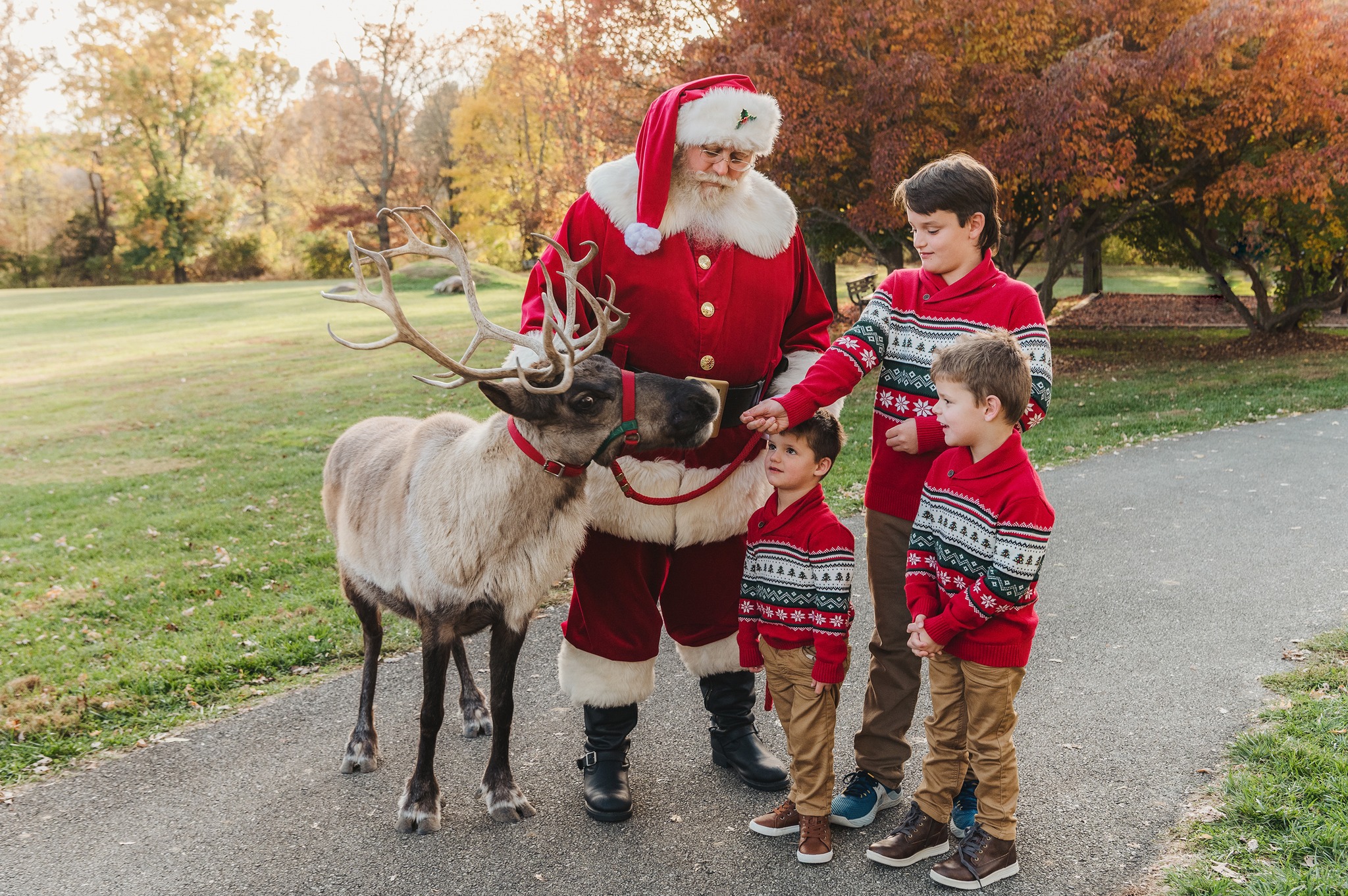 2023 Deer Santa, Sessions | 355118772_796540268695053_8399952543539447794_n.jpg