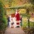 2026 Meet Santa in the Garden | DSC_7179.jpg